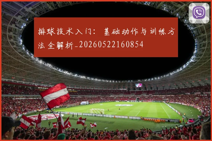排球技术入门:基础动作与训练方法全解析_20260522160854