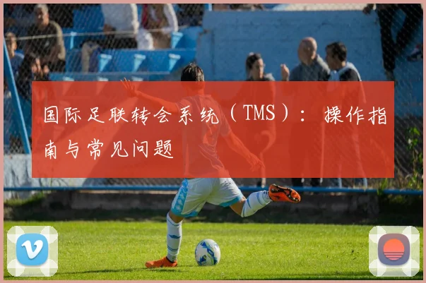 国际足联转会系统（TMS）：操作指南与常见问题